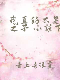 我真的不是气运之子 小说下载