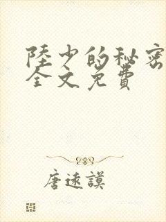 陆少的秘密恋人全文免费