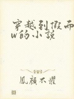 穿越到假面骑士w的小说