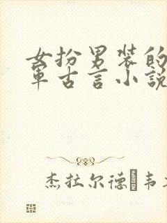 女扮男装的女将军古言小说
