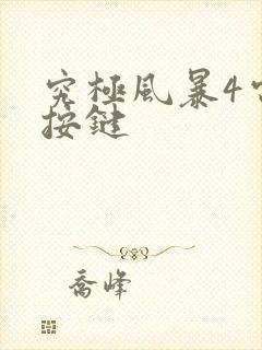 究极风暴4电脑按键