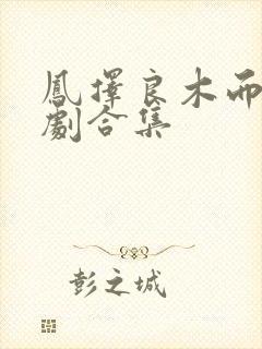 凤择良木而栖短剧合集