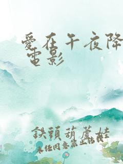 爱在午夜降临前 电影