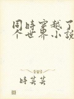 同时穿越了99个世界小说