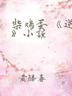 柴鸡蛋 《逆袭》小说