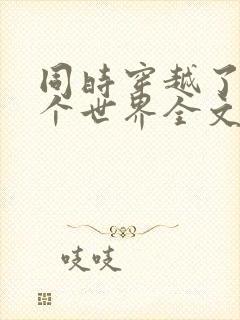 同时穿越了99个世界全文txt