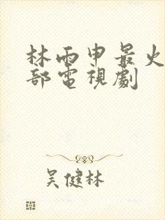 林雨申最火的十部电视剧