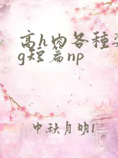 高h肉各种姿势g短篇np