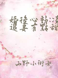 婚后心动:凌总追妻有点甜全文免费阅读