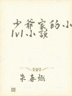 少爷家的小女仆1v1小说