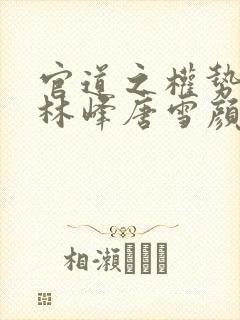 官道之权势滔天林峰唐雪颜