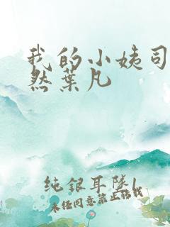 我的小姨司空嫣然叶凡