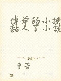 傅爷的小撩精又黏人了小说