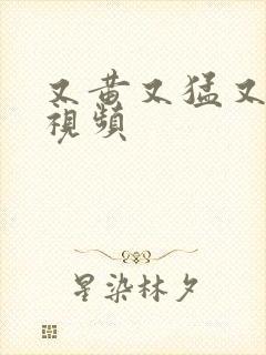 又黄又猛又爽的视频