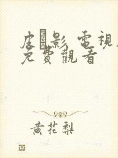 皮·影 电视剧免费观看