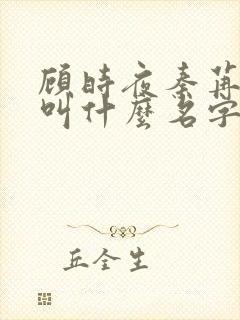 顾时夜秦苒小说叫什么名字