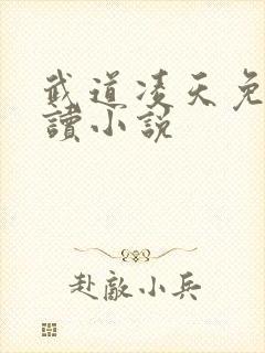 武道凌天免费阅读小说