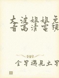 大波姐姐免费观看高清电视剧韩剧一共多少集