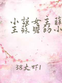 小说女主薛柠男主苏瞻的小说