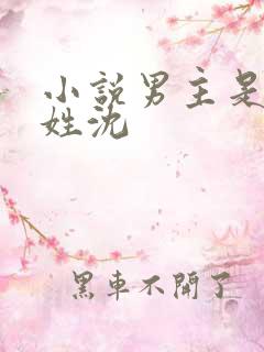 小说男主是律师姓沈