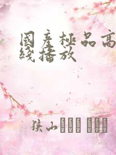 国产极品高清在线播放