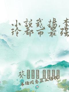 小说武扬,李晓玲都市最强兵王