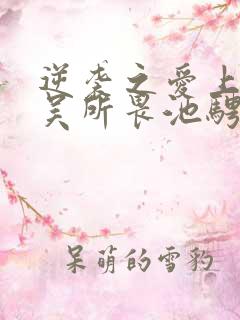 逆袭之爱上情敌吴所畏池骋小说免费阅读