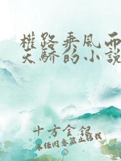 权路乘风而起化天骄的小说