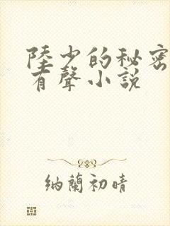 陆少的秘密恋人有声小说
