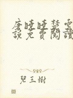 唐晓晓楚云霆小说免费阅读最新章节