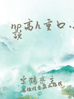 np高h重口小说