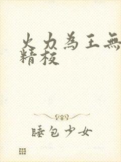 火力为王无错字精校