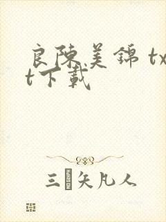 良陈美锦 txt下载