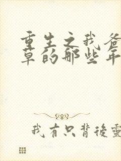 重生之我爸当校草的那些年