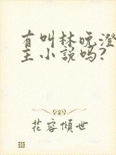 有叫林晚澄的女主小说吗?