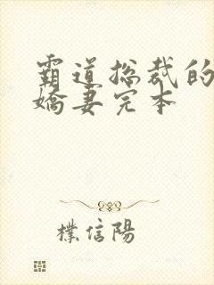 霸道总裁的独宠娇妻完本