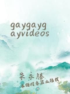 gaygaygayvideos
