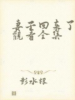 妻子回来了免费观看全集