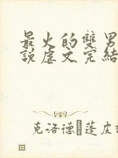 最火的双男主小说虐文完结受推文