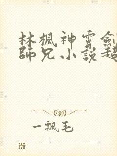 林枫神霄剑宗大师兄小说超前更新