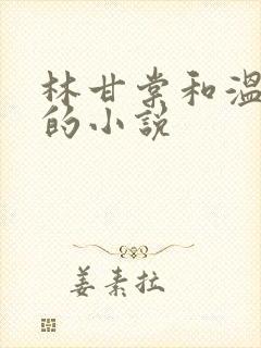 林甘棠和温晏清的小说