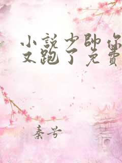 小说少帅你老婆又跑了免费阅读