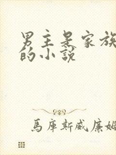 男主是家族少主的小说