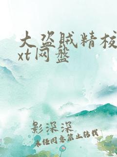 大盗贼精校版txt网盘