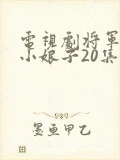 电视剧将军家的小娘子20集至40集