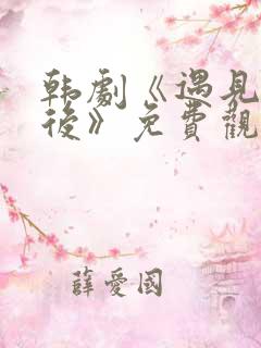 韩剧《遇见你之后》免费观看