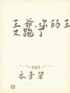 王爷,你的王妃又跑了