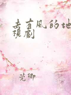 去有风的地方电视剧