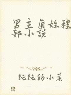 男主角姓程的全部小说