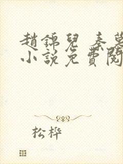 赵锦儿 秦慕修小说免费阅读